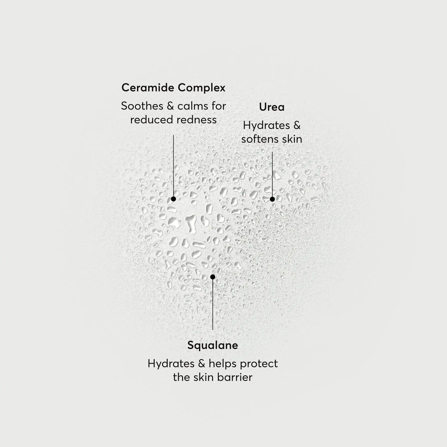 barrier-bounce-bi-phase-mist-a3 NATR-10167-Alt-Images-Barrier-Bounce-Bi-Phase-Toner-Mist_01.webp
