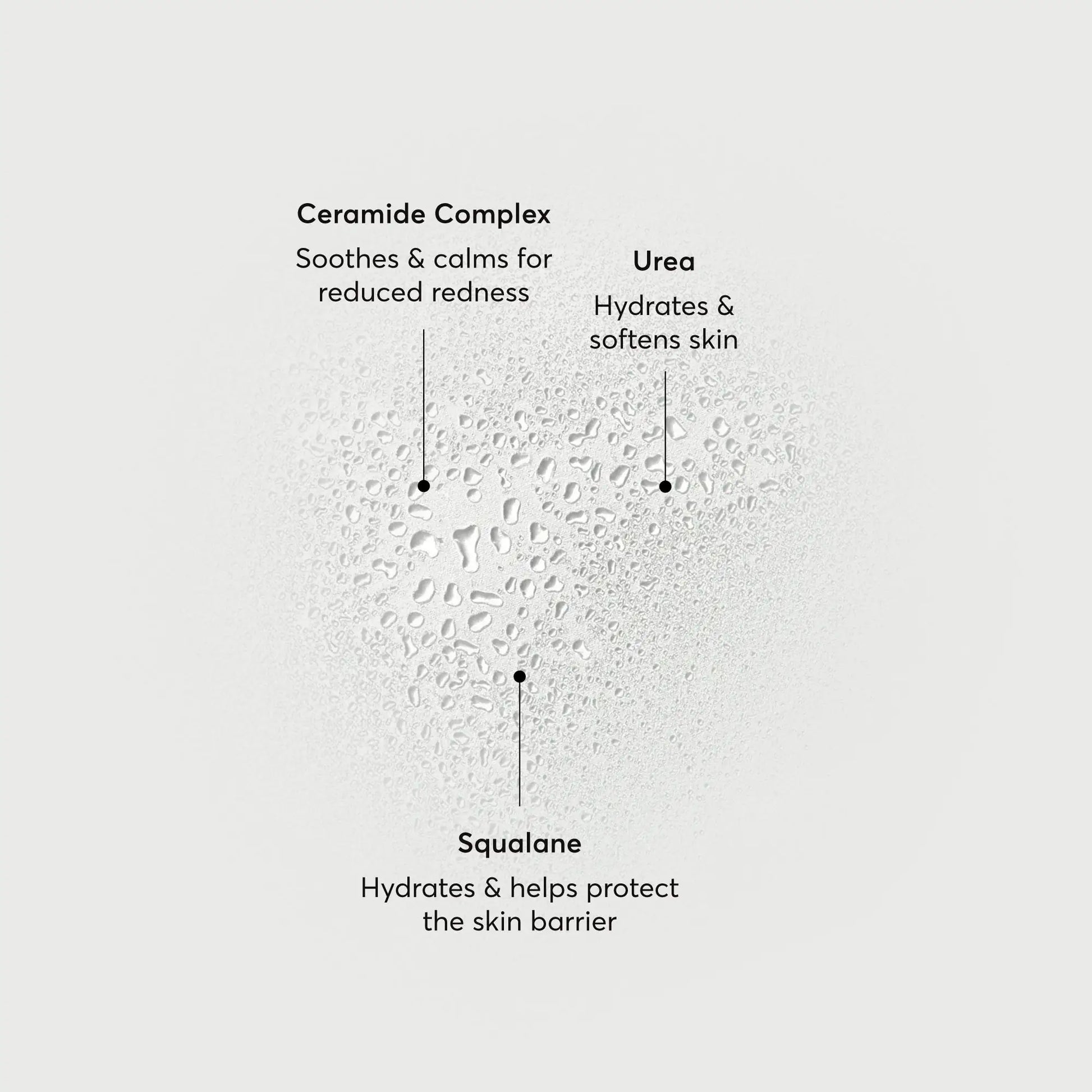 barrier-bounce-bi-phase-mist-a3 NATR-10167-Alt-Images-Barrier-Bounce-Bi-Phase-Toner-Mist_01.webp