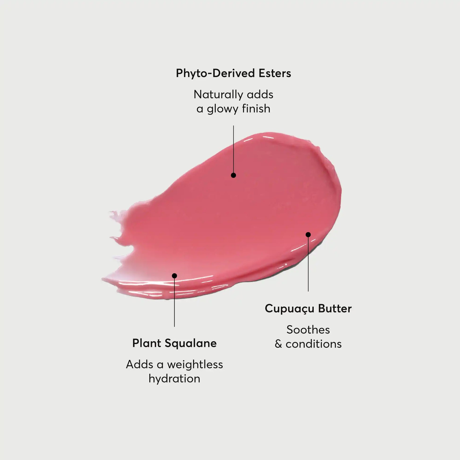 phyto-glow-lip-balm-petal-s6 NATR-60067-Alt-Images-Phyto-Glow-Lip-Balm-Petal-01.webp