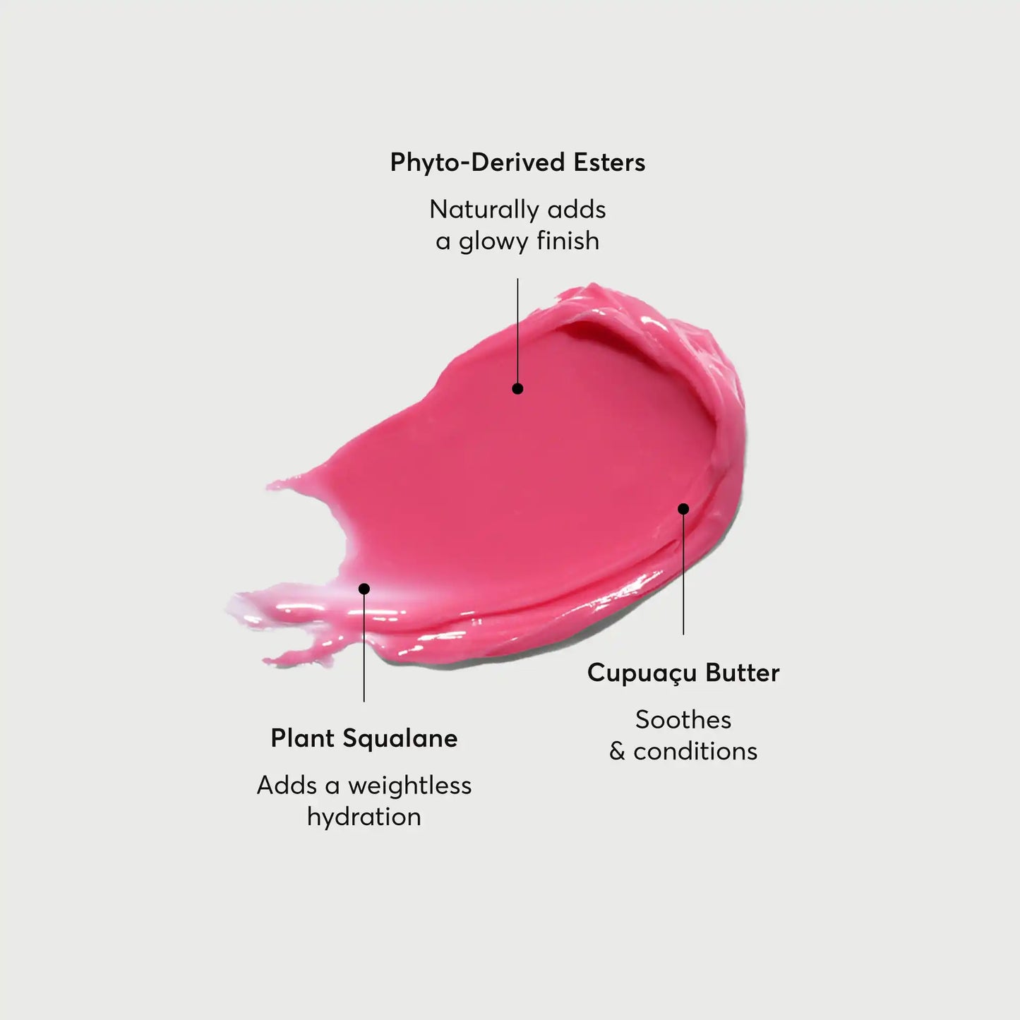 phyto-glow-lip-balm-camellia-m5 NATR-60075-Alt-Images-Phyto-Glow-Lip-Balm-Camellia-01.webp